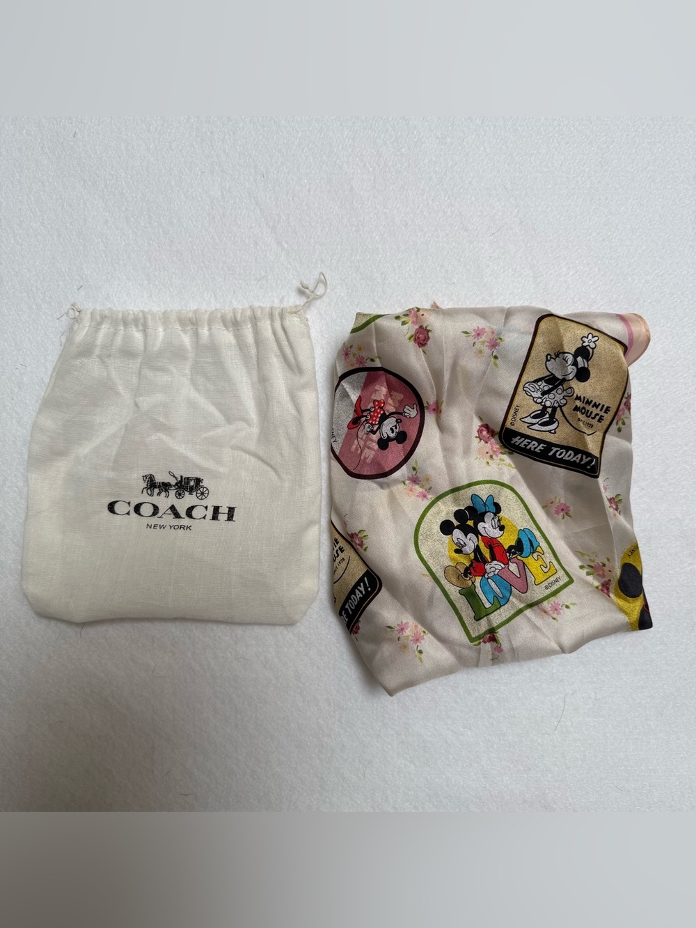 Disney x Coach Silk Scarf